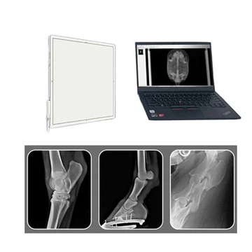 4343Z Panel skynjari